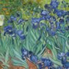 Lirios - Vincent van Gogh