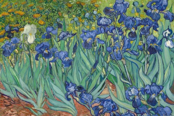 Lirios - Vincent van Gogh