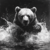 Imagen en blanco y negro de un oso cazando peces en el río atento_ATAI