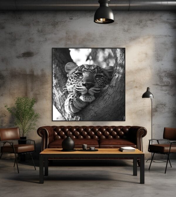 ATAI0235 Leopardo en blanco y negro descansando en un árbol_ATAI