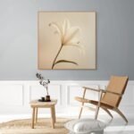 Reflejos del Alma_ATAI