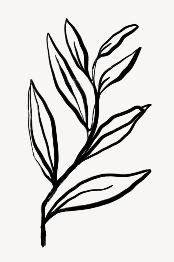 Hoja Esencial, arte sin mockup