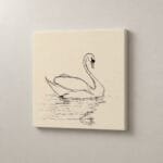 Cisne en Reposo