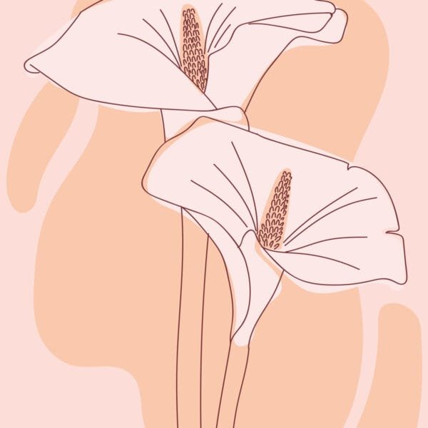 Flores de Seda, arte sin mockup